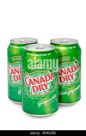 Dosen von Canada Dry Ginger Ale Stockfoto