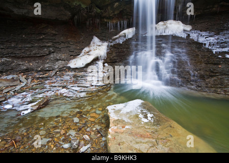 Blaue Henne fällt Stockfoto