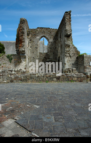 Abbey Ruinen nördlichen Querschiff St. Dogmaels Pembrokeshire Stockfoto