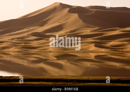 Temporäre See und Dünen in den hohen Erg Chebbi Sanddünen marokkanische Sahara Wüste nach sehr nassen Winter Frühling 2009 Marokko Stockfoto