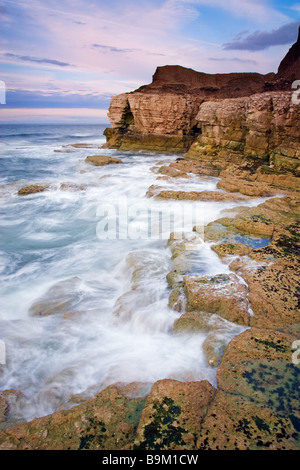 Abend in Thornwick Bay in der Nähe von Flamborough Head an der North Yorkshire Küste Bilder aus dem Monat August Stockfoto