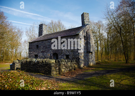 Y Garreg Fawr, Nordwales Schiefer Cottage, St Fagans National History Museum, St Fagans, Wales, UK Stockfoto