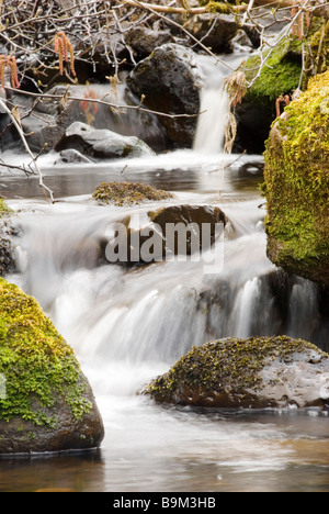 Ein klaren Wasserfall Kaskaden über Moos bedeckt Felsen im Herbst