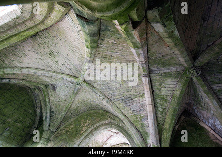 Roche Abbey Torhaus Rippe Gewölbedecke, Maltby, Süd-Yorkshire, England, "Great Britain" Stockfoto