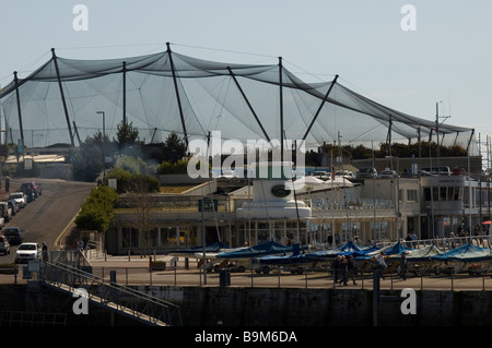 Lebende Küsten Komplex, Torquay Harbourside Stockfoto