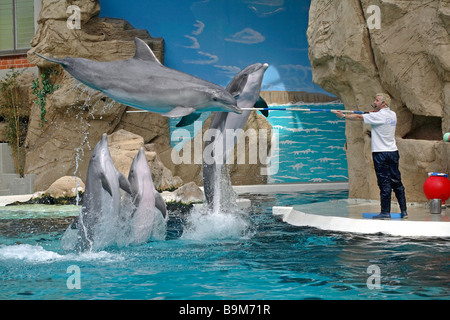 Delfinarium in einem Zoo in Duisburg, Deutschland Stockfoto