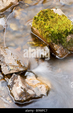 Ein klarer Gebirgsbach fließt über Moos bedeckt Felsen im Herbst Stockfoto