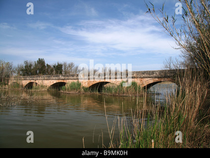 Parc Natural sÁlbufera de Mallorca Stockfoto