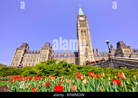 Zentrum-Block und Peace Tower das Parlamentsgebäude und einem Garten von Tulpen auf dem Parlamentshügel, Stadt von Ottawa, Ontario, Kanada Stockfoto