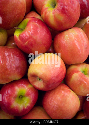 Haufen von Braeburn Äpfel zum Verkauf an Lebensmittelmarkt Seattle Washington USA Stockfoto