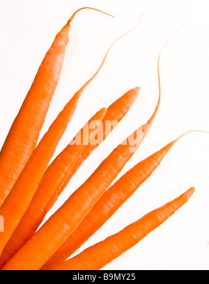 Frische Karotten isoliert auf weißem Hintergrund Stockfoto