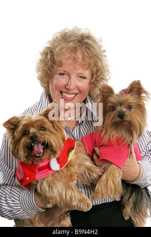 Ein glücklicher Haustier Besitzer halten ihre zwei liebenswerte Yorkie Hunde Stockfoto