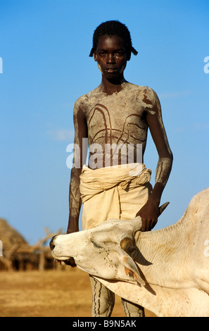 Äthiopien, unteren Omo-Tal, klassifiziert als Weltkulturerbe der UNESCO, junge Hamer mit seinen Stier Stockfoto