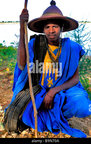 Mali, Mopti Region, Sofara, Falu Schäfer Stockfoto