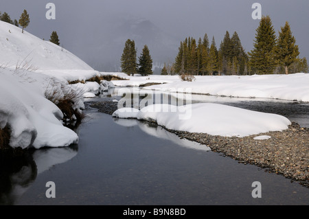 Soda Butte Creek bei Schneefall im Winter mit Brote Peak im Yellowstone National Park in Wyoming USA Stockfoto