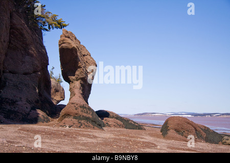 Hopewell Rocks - Bay Of Fundy, New Brunswick, Kanada Stockfoto