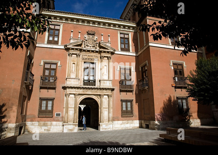 Palacio de Fabio Nelli Museo de Valladolid Castilla Leon España Fabio Nelli Palastmuseum Valladolid Castilla Leon Spanien Stockfoto