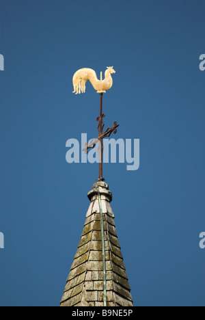 Wetterfahne auf dem Turm des Hl. Johannes der Evangelist-Kirche in West Sussex Dorf von Bury. Stockfoto