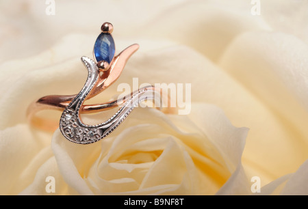 Ring in eine weiße rose Schmuck auf einer blühenden Knospe einer Blume Stockfoto