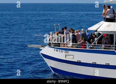 Die Exciment unter den Touristen auf dem Delphin Suche Boot. Puerto Rico, Gran Canaria, Kanarische Inseln, Spanien, Europa. Stockfoto