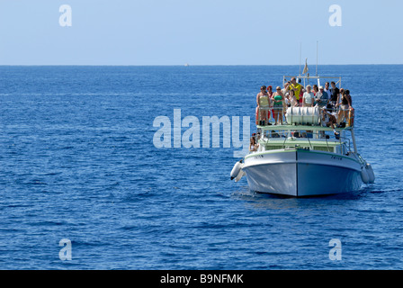 Die Exciment unter den Touristen auf dem Delphin Suche Boot, Puerto Rico, Gran Canaria, Kanarische Inseln, Spanien, Europa. Stockfoto