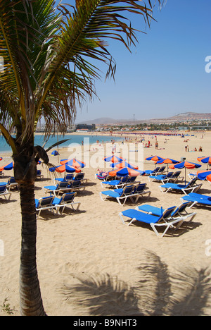 Strandblick, Caleta Strand Caleta de Fuste, Fuerteventura, Kanarische Inseln, Spanien Stockfoto