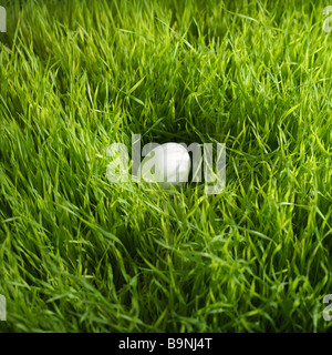 weiße Osterei in Rasen Stockfoto