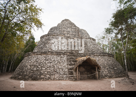 Mexiko Yucatan 2009 Coba Maya-historische Ruinen Komplex der Sternwarte Stockfoto