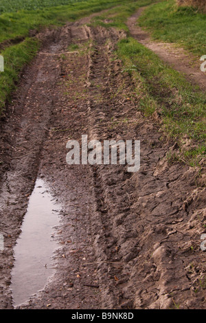 Feldweg mit Furchen und Pfützen voller Wasser Stockfoto