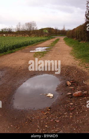 Feldweg mit Furchen und Pfützen voller Wasser Stockfoto