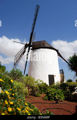 Traditionelle Windmühle, Centro de Artesania Molino de Antigua, Antigua, Fuerteventura, Kanarische Inseln, Spanien Stockfoto