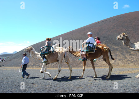 Kamel reitet, Nationalpark Timanfaya, Lanzarote, Kanarische Inseln, Spanien Stockfoto