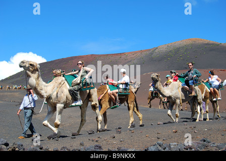 Kamel reitet, Nationalpark Timanfaya, Lanzarote, Kanarische Inseln, Spanien Stockfoto
