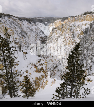 Schneebedeckten Grand Canyon des Yellowstone National Park im Winter mit dem Gefrorenen unteren fällt, Wyoming Stockfoto