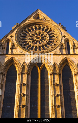 Die berühmte Rosette in den Süden Querschiff des York Minster gotische Kathedrale Stockfoto