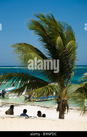 Mexiko Yucatan 2009 Puerto Morelos Familie im Schatten einer Palme am Strand Stockfoto