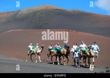 Kamel reitet, Nationalpark Timanfaya, Lanzarote, Kanarische Inseln, Spanien Stockfoto