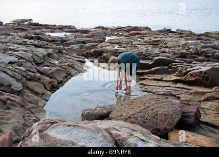 Junge studieren Nrth der zentralen Küste von Sydney Australia typische marine Rock Regal Stockfoto