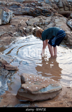 Teenager Seaerching durch einen Felsenpool an der zentralen Küste Nrth von Sydney Australia typische marine Rock Regal Stockfoto