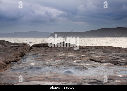 Rock Fischer zentralen Küste Nrth von Sydney Australia typische marine Rock Regal Stockfoto