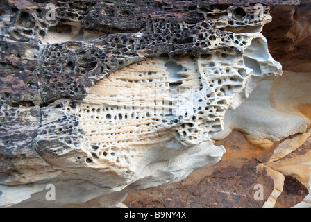 Zentrale Küste Nrth von Sydney Australia typische marine Rock Regal zeigt Honeycomb Verwitterung Stockfoto