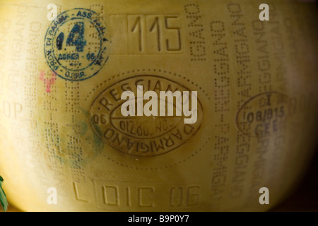 Parmesan-Käse auf den Verkauf in einem Geschäft in der Mercato di Mezzo Bologna Italien Stockfoto