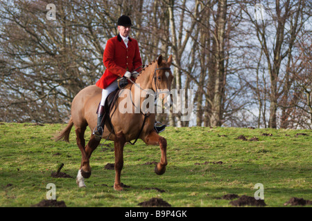 Meister der Jagd Jagd rosa rot tragen, auf dem Pferderücken Stockfoto