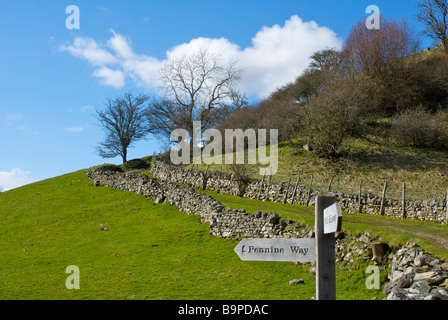 Pennine Way anmelden oberen Swaledale, in der Nähe von Keld, Yorkshire Dales National Park, North Yorkshire, England UK Stockfoto