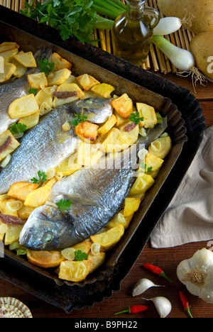 Aus Brassen mit Kartoffeln Zwiebeln und Sardellen israelische Küche Israel Stockfoto