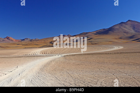 Natur-Szene im Altiplano Boliviens Stockfoto