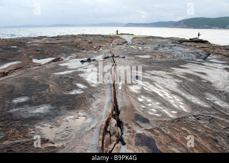 Rock Fischer an der zentralen Küste Nrth von Sydney Australia typische marine Rock Regal Stockfoto