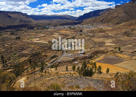 Panoramablick über den Colca Canyon Peru Stockfoto