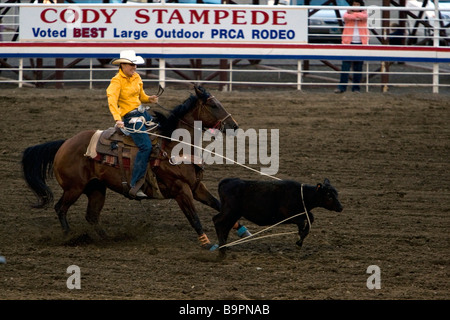 Roping Wettbewerb Cody Nite Rodeo Wyoming USA Stockfoto