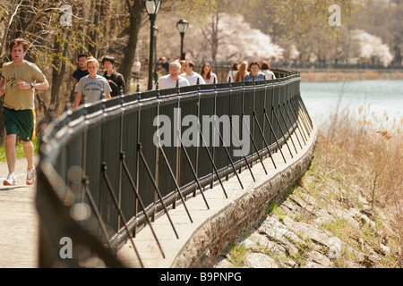 Im Central Park laufen Stockfoto